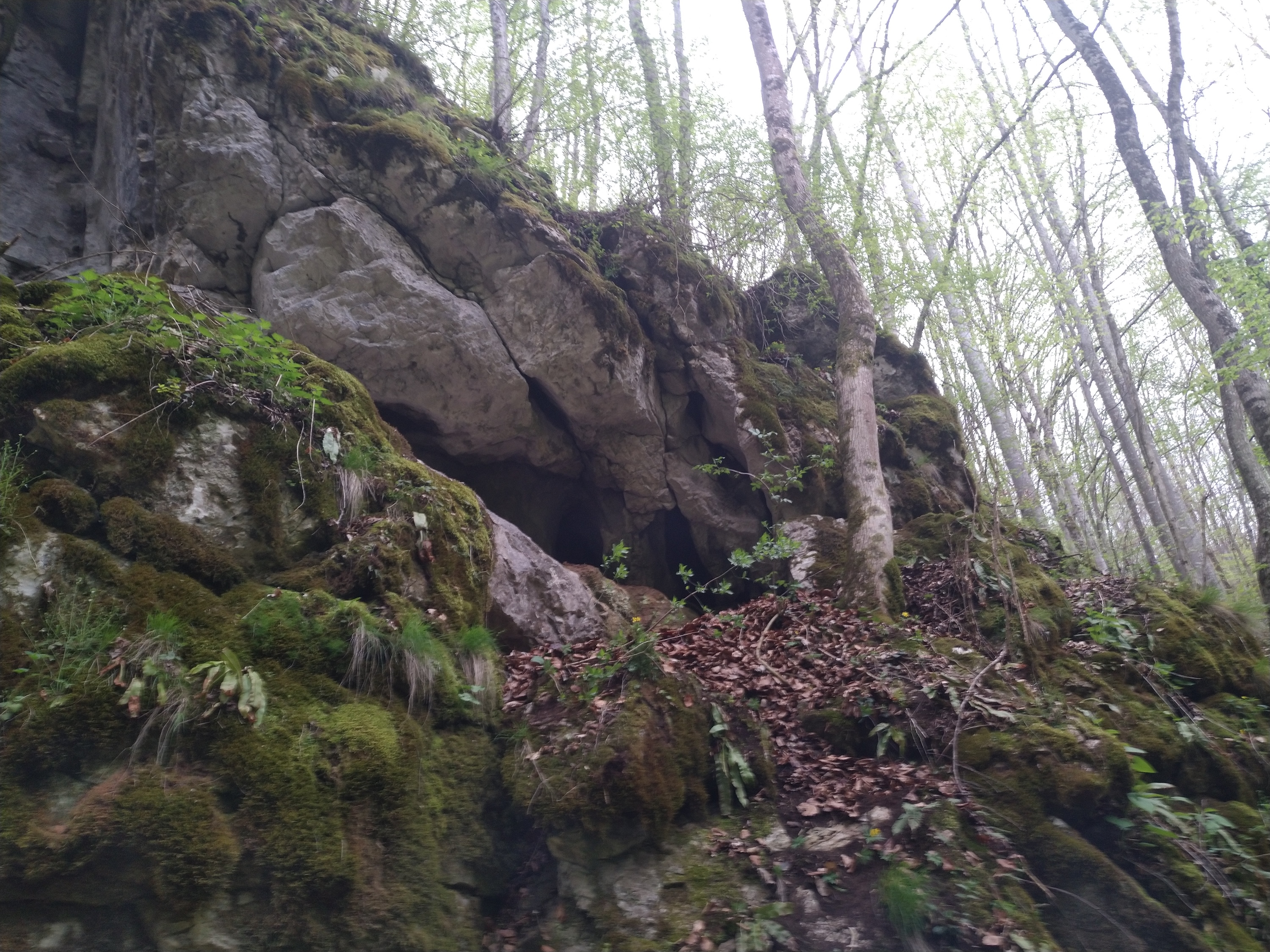 Peștera Nr.5 de la Jervan - Image 1